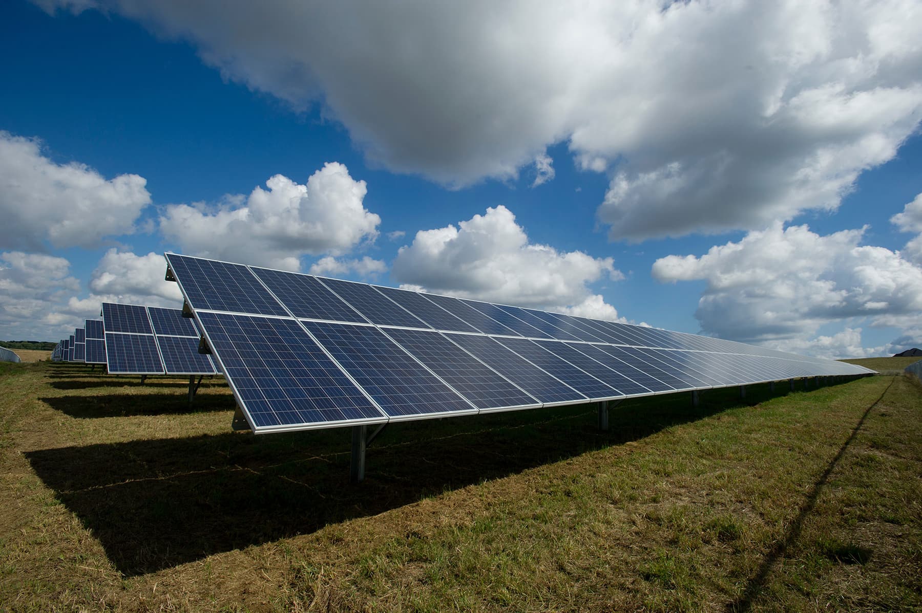 Rows of solar modules across open ground